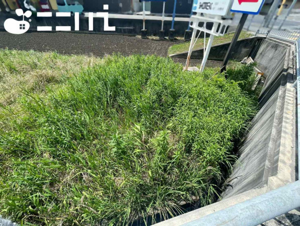 姫路市網干区浜田、土地の画像です