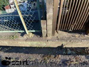 揖保郡太子町老原、土地のその他画像です