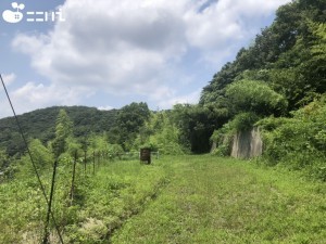 相生市川原町、土地の画像です