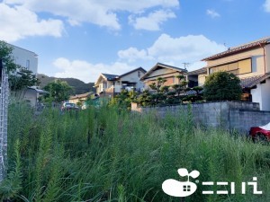 姫路市新在家、土地の外観画像です