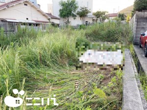 姫路市新在家、土地の外観画像です