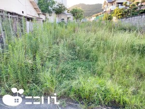 姫路市新在家、土地の外観画像です