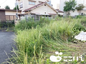 姫路市新在家、土地の外観画像です