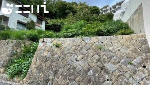 姫路市新在家、土地の画像です