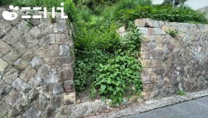 姫路市新在家、土地の画像です