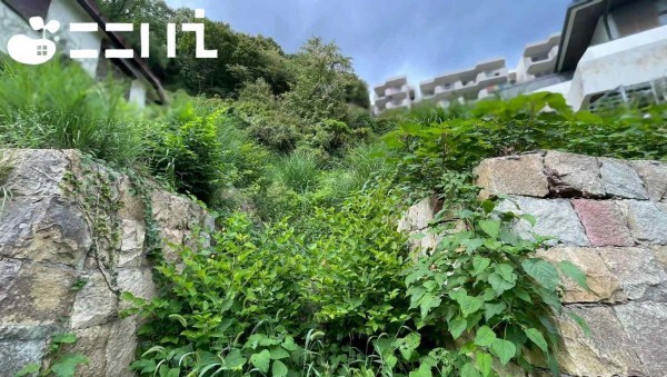 姫路市新在家、土地の画像です