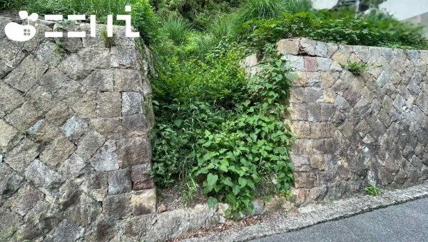 姫路市新在家、土地の画像です