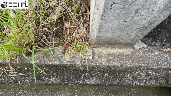 たつの市揖西町土師、土地のその他画像です