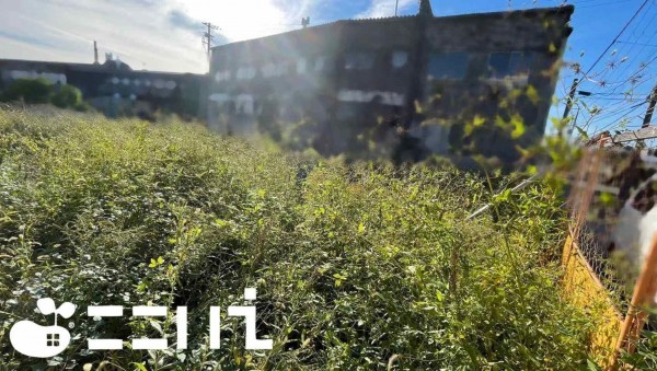 姫路市花田町、土地の画像です