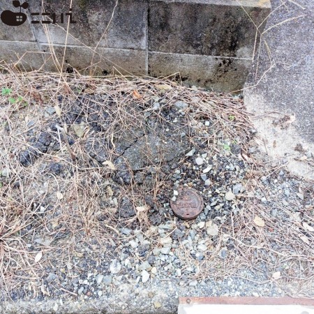 姫路市新在家、土地の画像です