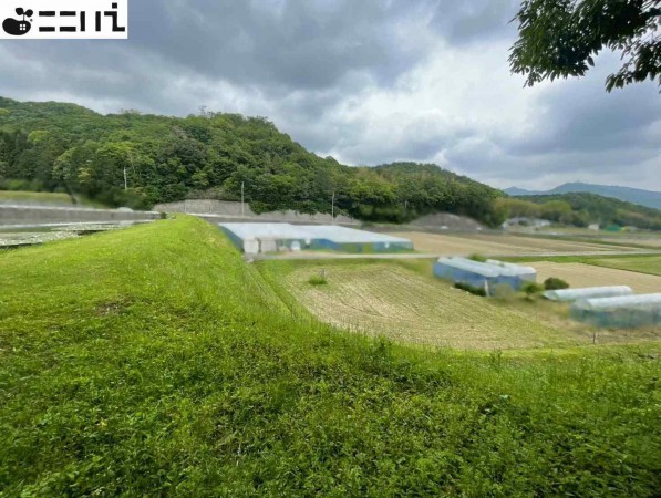 たつの市揖西町新宮、土地の画像です