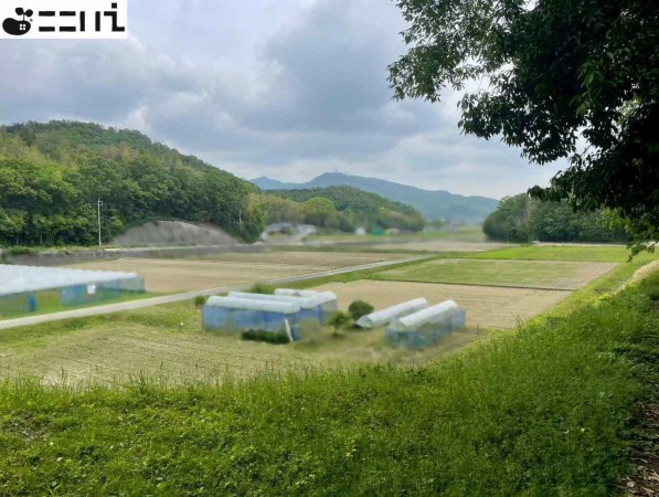 たつの市揖西町新宮、土地の画像です