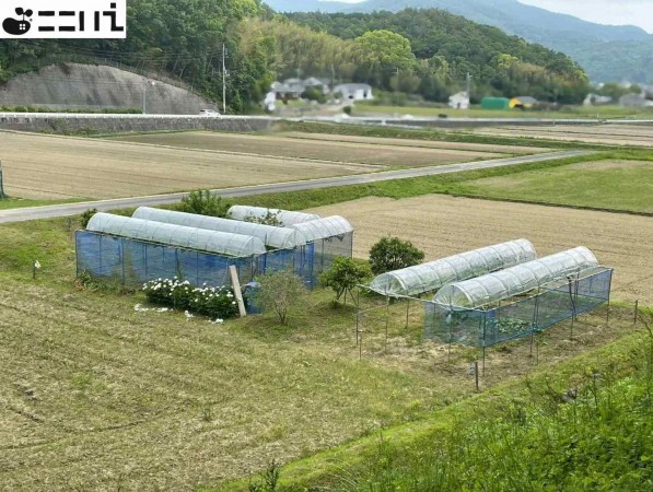 たつの市揖西町新宮、土地の画像です