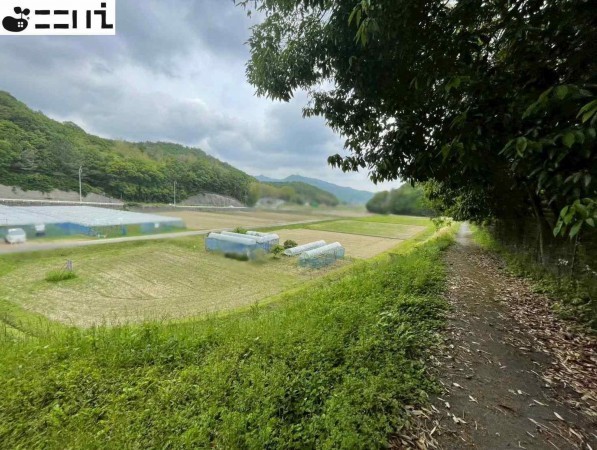 たつの市揖西町新宮、土地の画像です