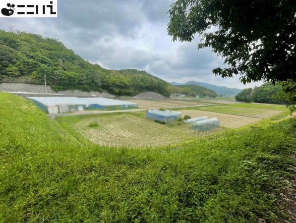 たつの市揖西町新宮、土地の画像です