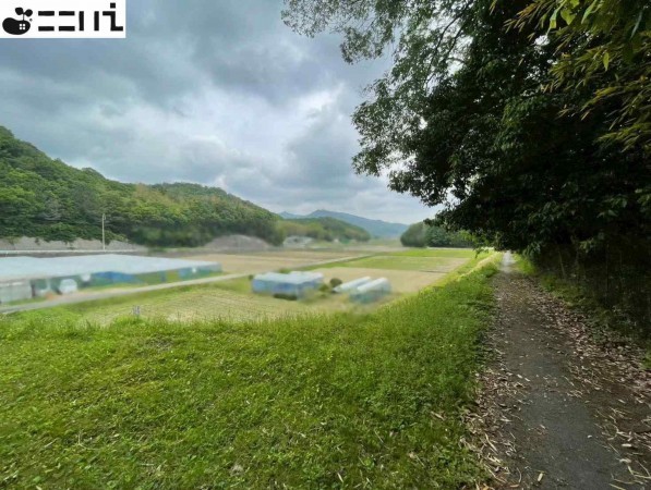 たつの市揖西町新宮、土地の画像です