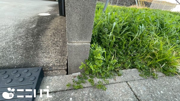 姫路市網干区浜田、土地のその他画像です