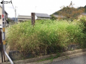 たつの市新宮町新宮、土地の外観画像です