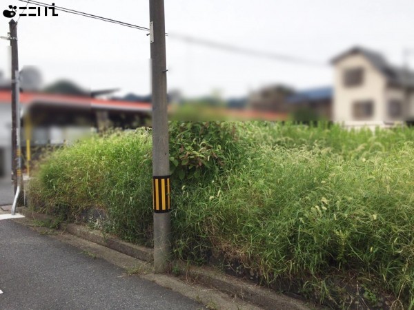 たつの市新宮町新宮、土地の外観画像です