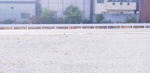 姫路市砥堀、土地の外観画像です