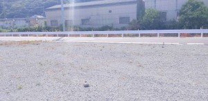 姫路市砥堀、土地の外観画像です
