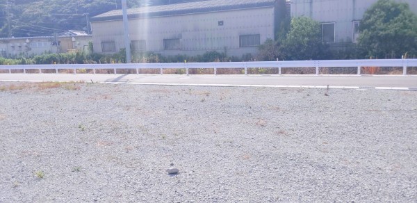 姫路市砥堀、土地の外観画像です