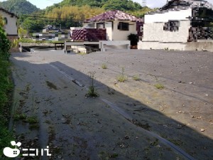 姫路市井ノ口、土地の画像です