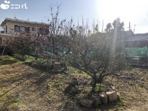 たつの市龍野町大道、土地の外観画像です