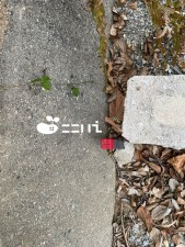 相生市山手、土地の周辺画像画像です