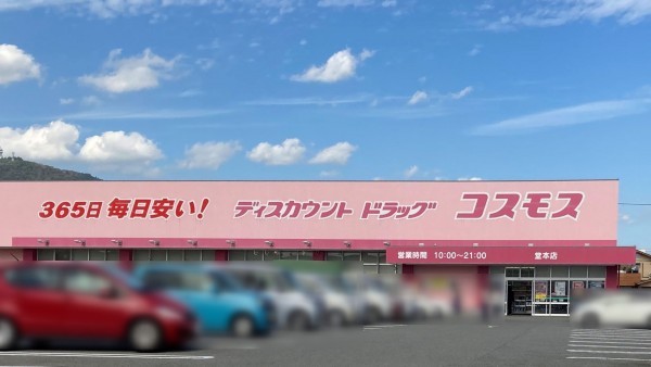 たつの市龍野町片山、中古一戸建てのドラッグストア画像です