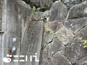 姫路市田寺東、中古一戸建ての画像です