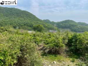 たつの市御津町室津、土地の外観画像です