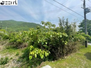 たつの市御津町室津、土地の外観画像です