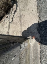 米子市富益町、土地の画像です