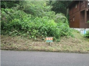 西伯郡伯耆町金屋谷、土地の画像です