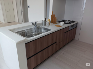 いわき市平下平窪、新築一戸建ての画像です