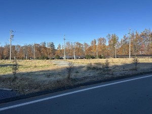 北佐久郡御代田町大字御代田、土地の画像です