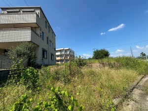一宮市平島、土地の画像です