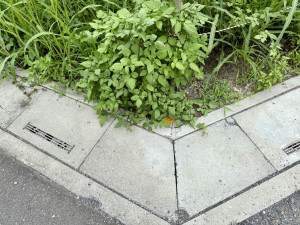 春日部市内牧、土地の画像です