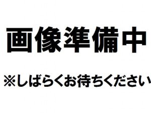 たつの市龍野町中村、中古一戸建てのその他画像です