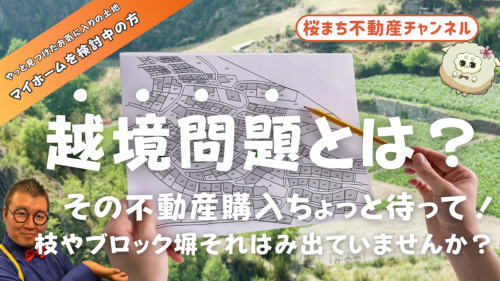 イベント情報