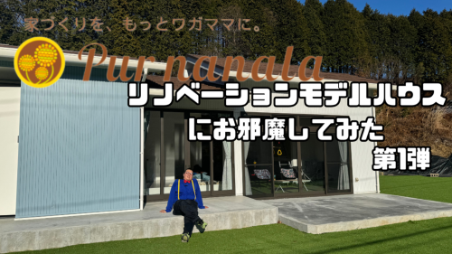 イベント情報