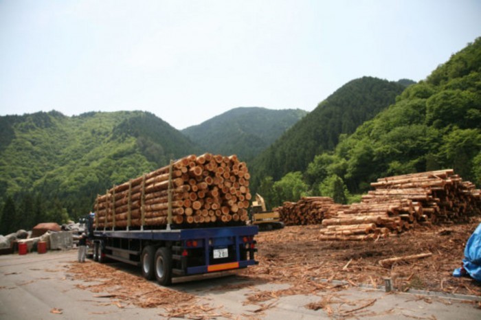 2. 国産材100%の木の家
岐阜県は県土の81%が森林に覆われた森林県。地産地消により地域経済の活性化を図り、地域に根付いた木の文化を受け継ぎます。100%にこだわった、混じりけのない「純国産の住まい」です。