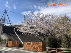 イベント情報