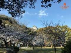 イベント情報