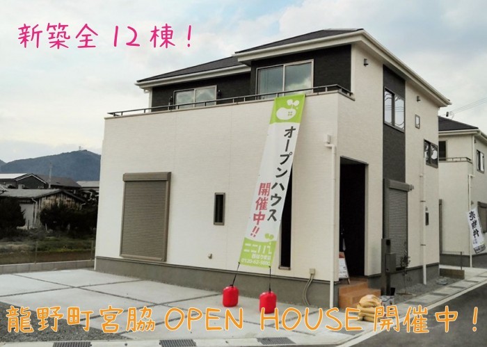 イベント情報