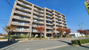 古賀市今の庄、マンションの外観画像です