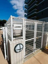 糟屋郡新宮町新宮、マンションの画像です