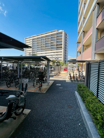 糟屋郡新宮町緑ケ浜、マンションの画像です