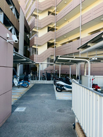 糟屋郡新宮町緑ケ浜、マンションの画像です